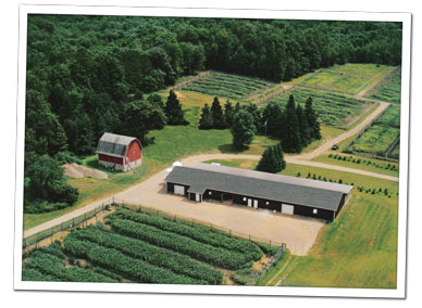 Aerial view of brooding facility and flight pens at Krug's