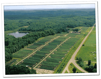 Aerial view of flight pens at Krug's